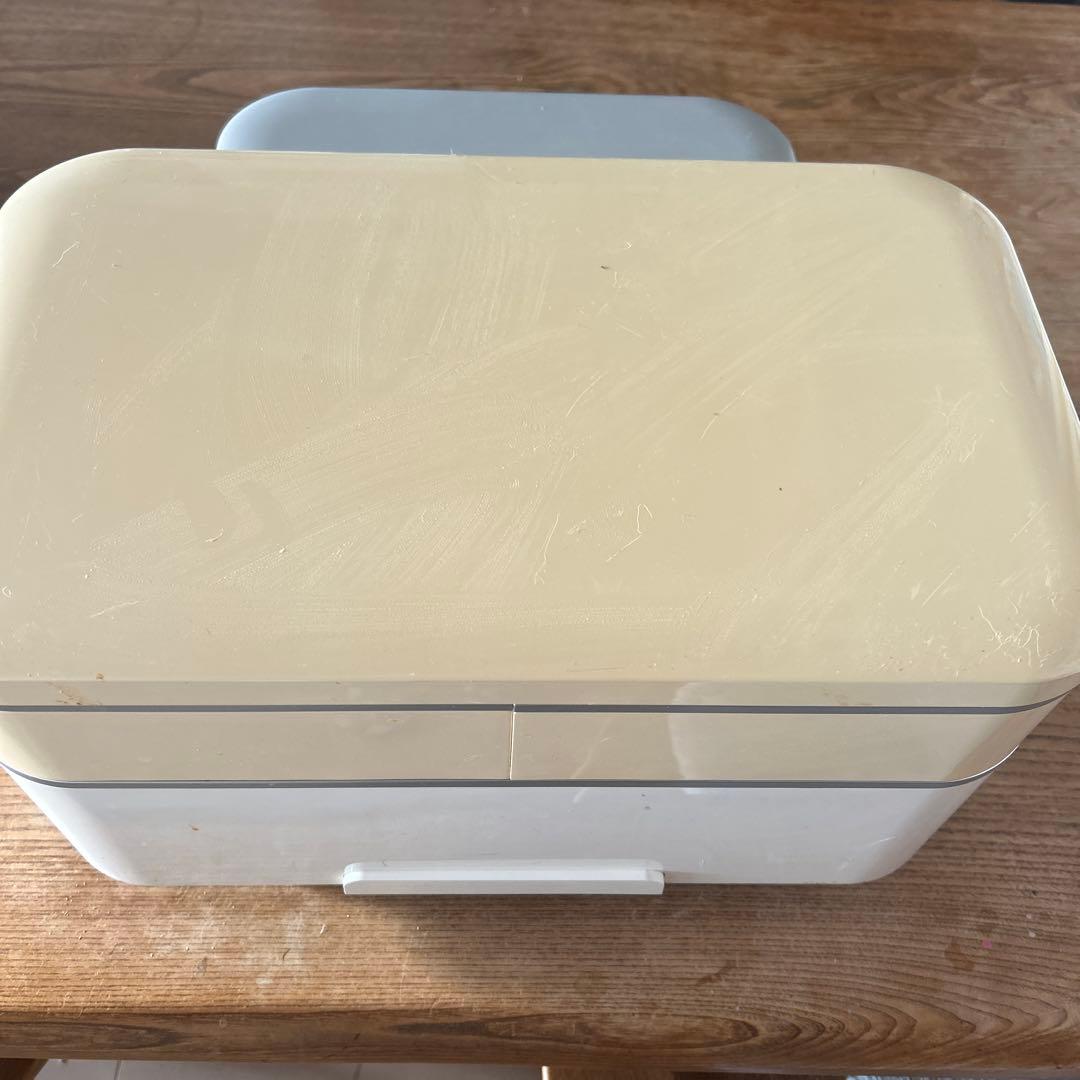 サキナ　ビジュー　美顔器　ライト付き