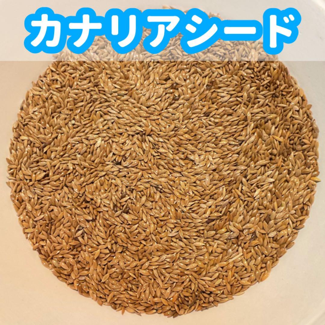 【友】鳥の餌セット