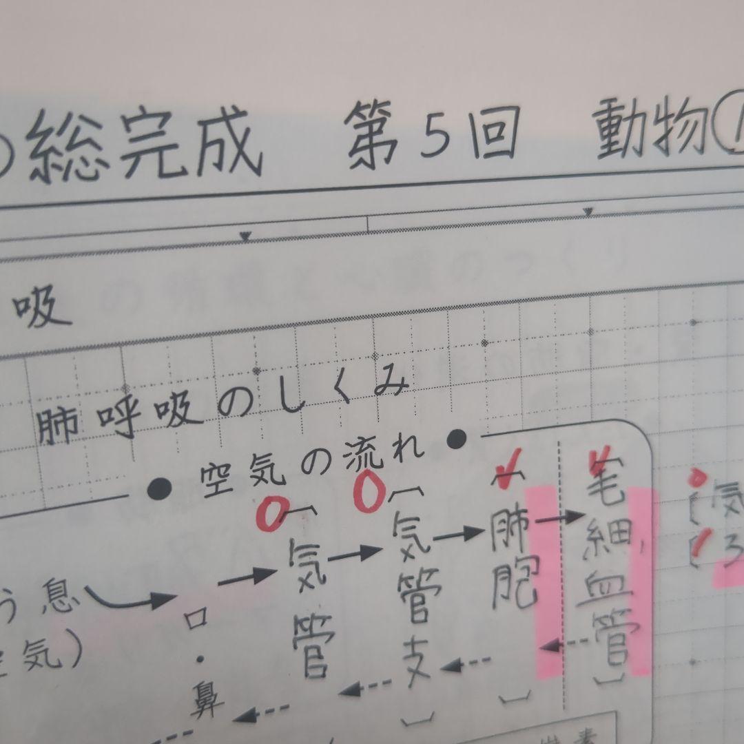 SAPIX 6年理科教材　2025 年度版