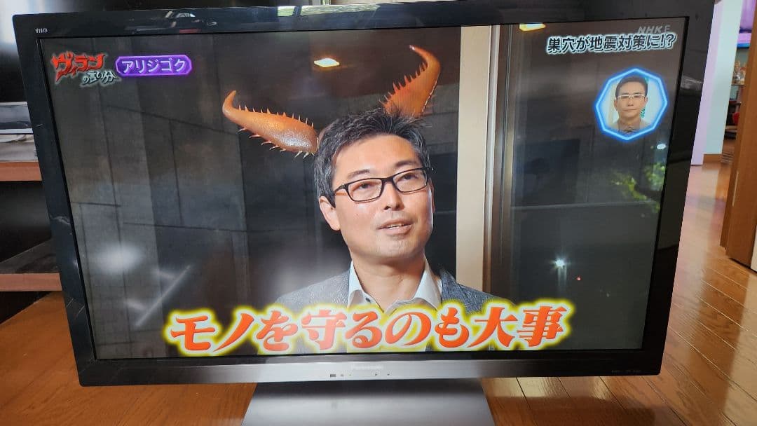 Panasonic TH-L42G3 液晶テレビ 42インチ