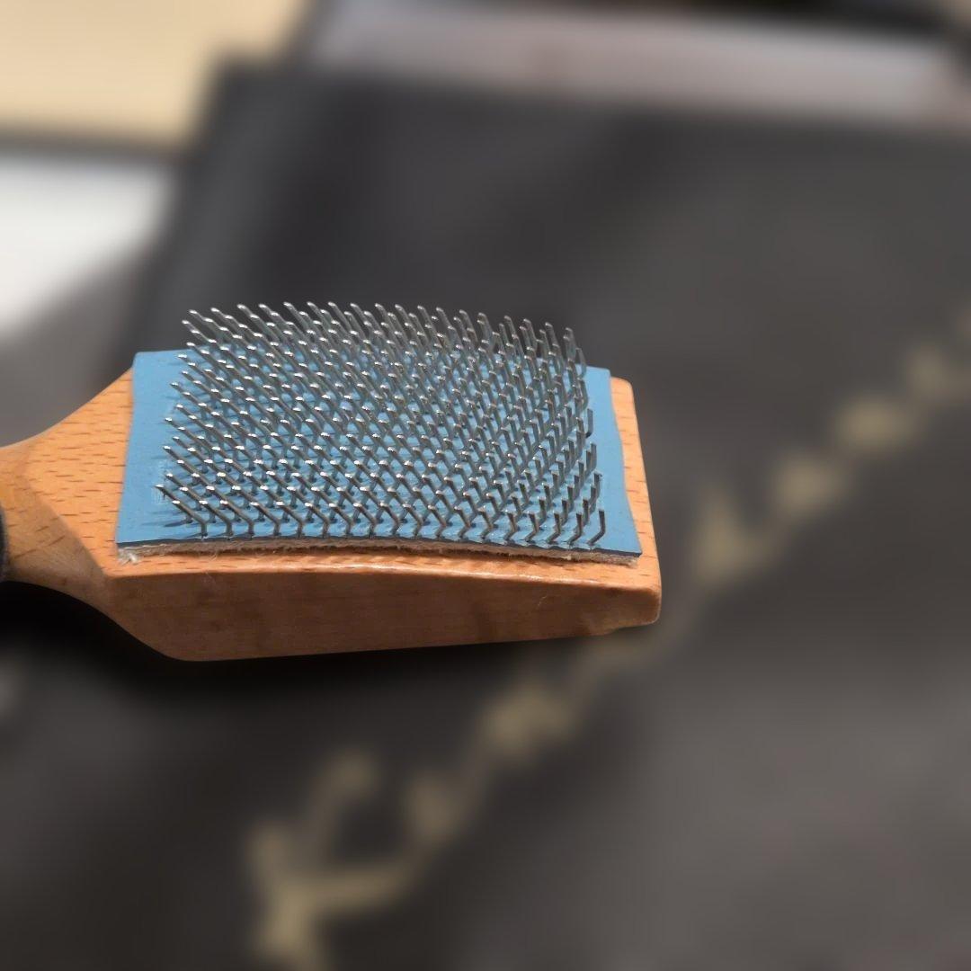 【お値下げ】Kentdance ラビアン BX 24 ハバサテン 女性用シューズ