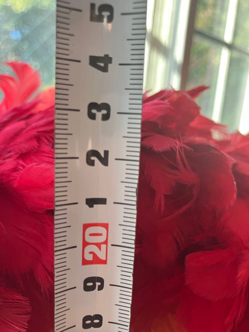 ウリウリ　フラダンス用