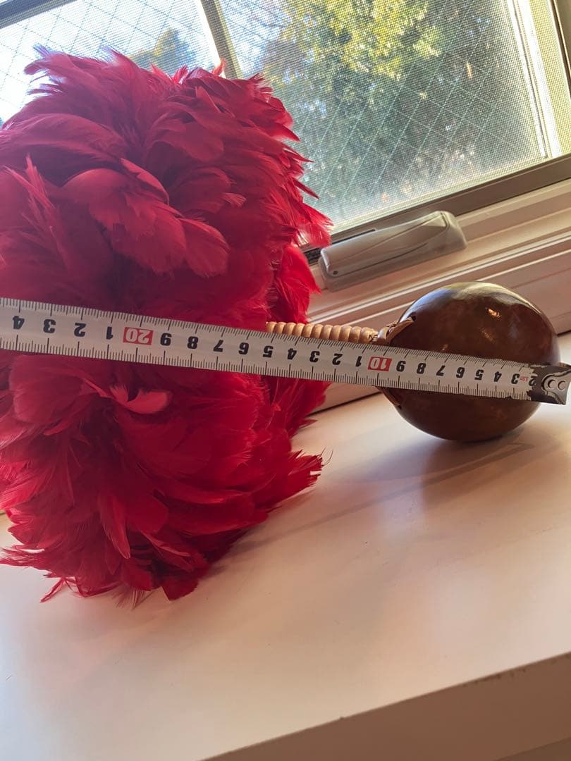 ウリウリ　フラダンス用