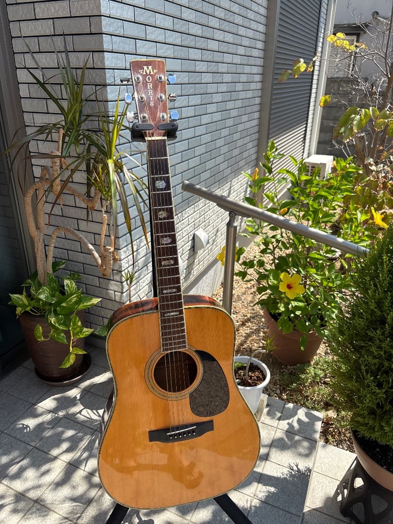 Morris W-60 トップ単板　サイド、パックはハカランダ