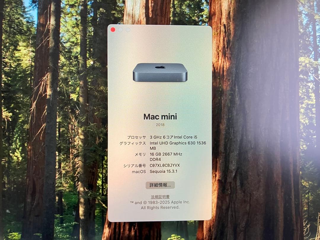 Macデスクトップ Mac mini 2018 Intel Core i5 3GHz