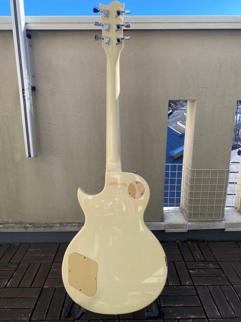 レスポールタイプ(エレキギター)