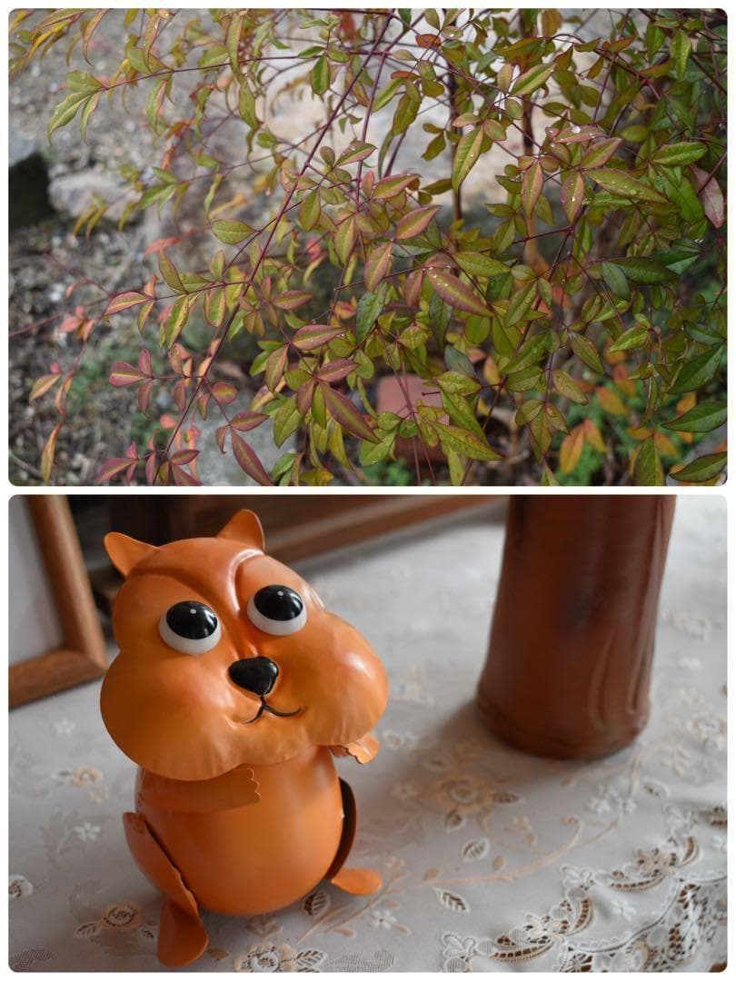 WiFi搭載✨️ 大人気 Nikon D5500 レンズキット初心者 すぐ使える