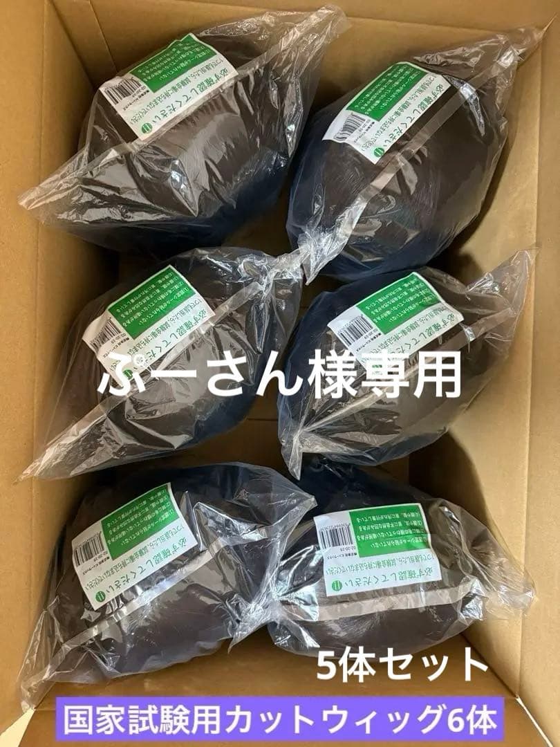 国家試験用カットウィッグ5体