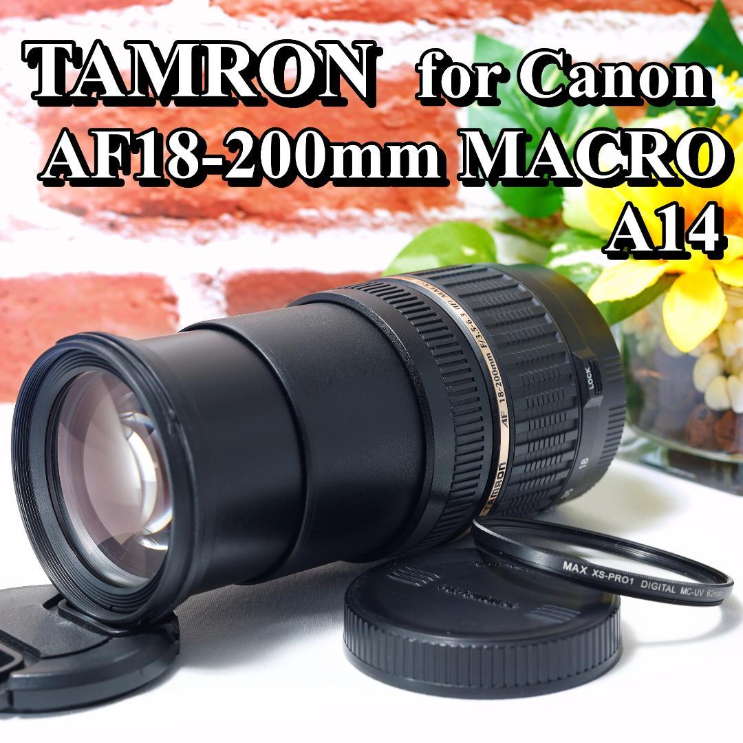 広角から超望遠まで✨TAMRON AF18-200mm MACRO A14✨EF