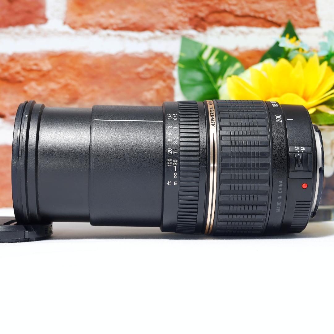 広角から超望遠まで✨TAMRON AF18-200mm MACRO A14✨EF