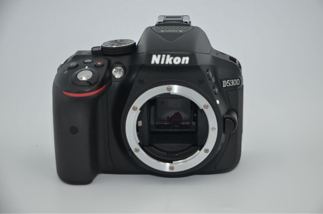 NIKON D5300 レンズキット