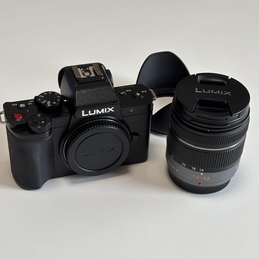 Panasonic Lumix DC-G100 ミラーレスカメラ &レンズ