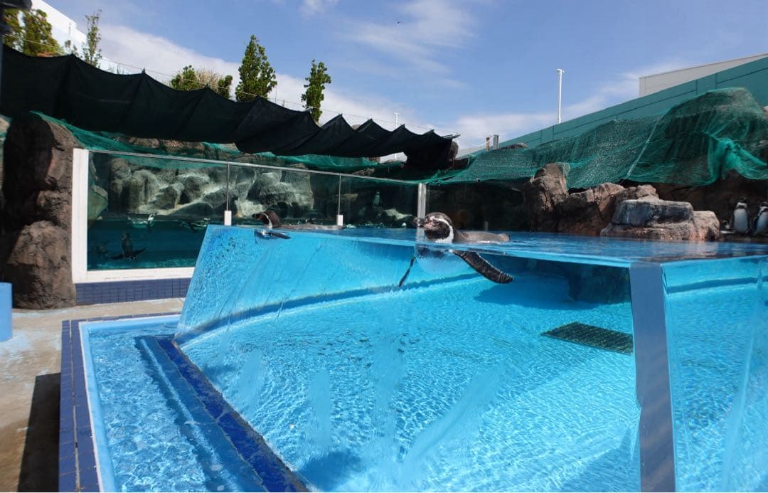 SONY ZV-1 Ulanzi 広角レンズWL-1 等セット