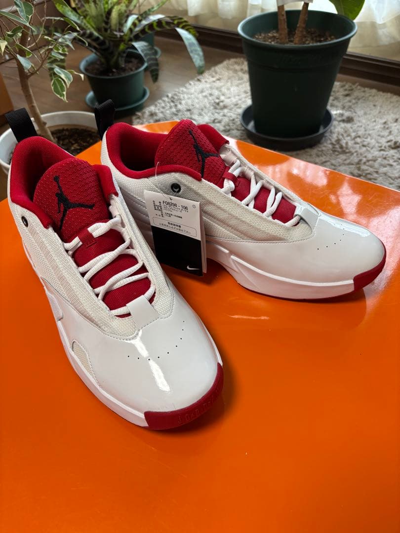 【新品・国内正規品】NIKE JORDAN MAX AURA 6