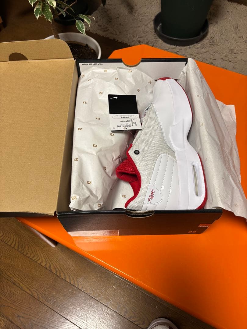 【新品・国内正規品】NIKE JORDAN MAX AURA 6