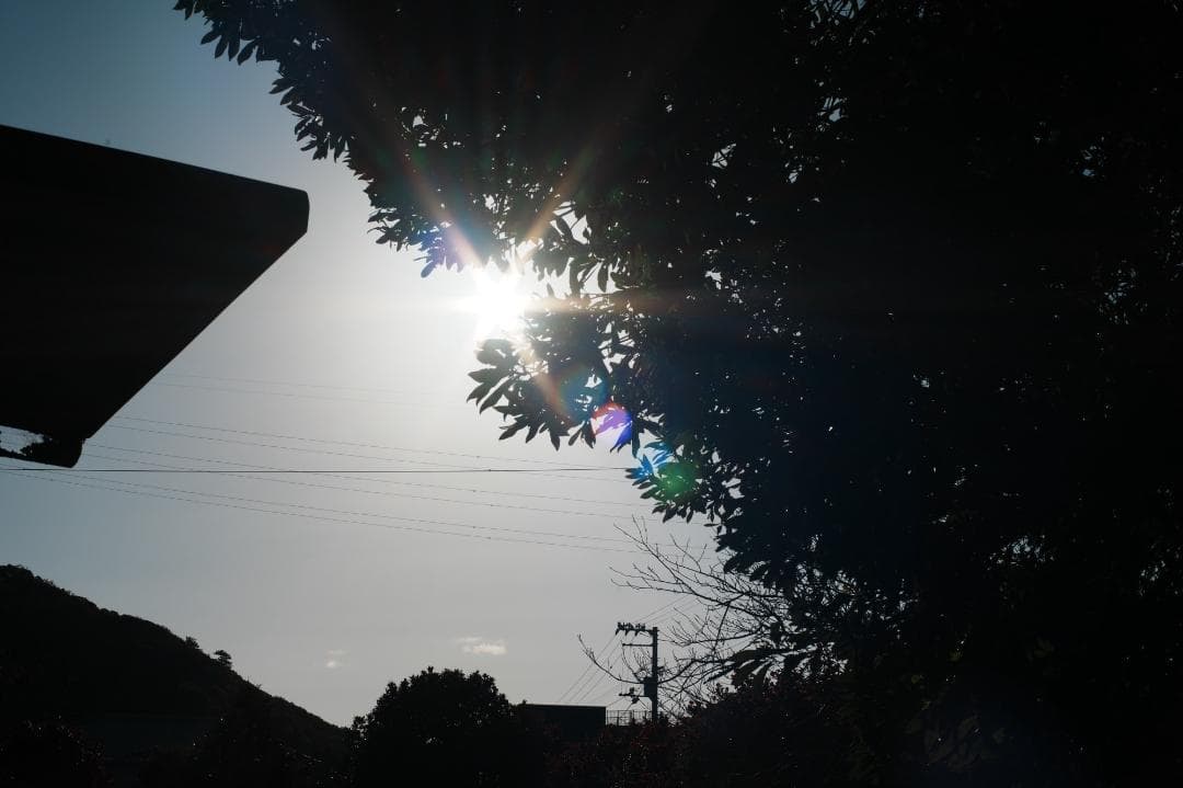 整＆テ済 Carl Zeiss Planar 50mm F1.4 AEJ 027