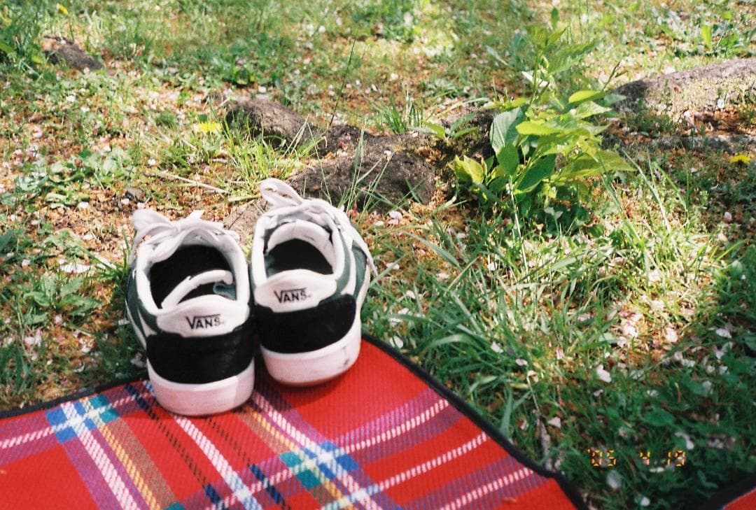 【動作確認済・美品】KONICA BIG mini フィルムカメラ セット