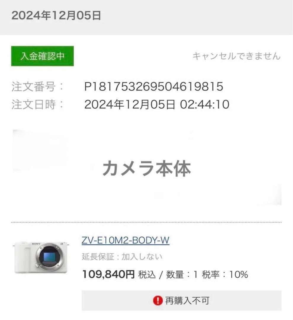 【美品】SONY ZV-E10 II ボディ 付属品多数