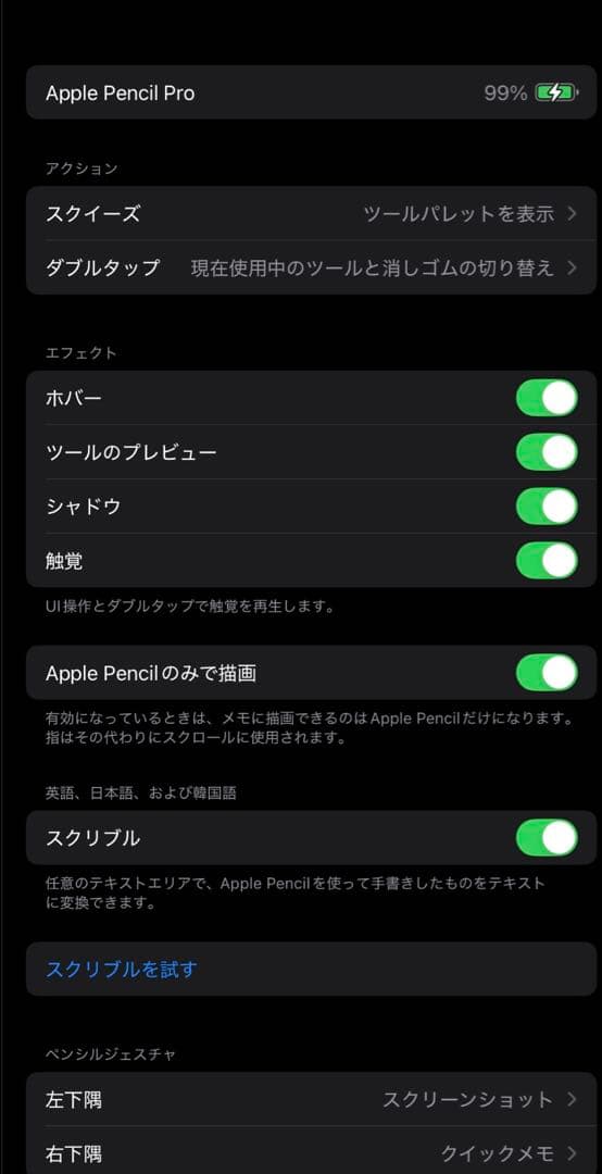 Apple Pencil Pro ホワイト 箱付き