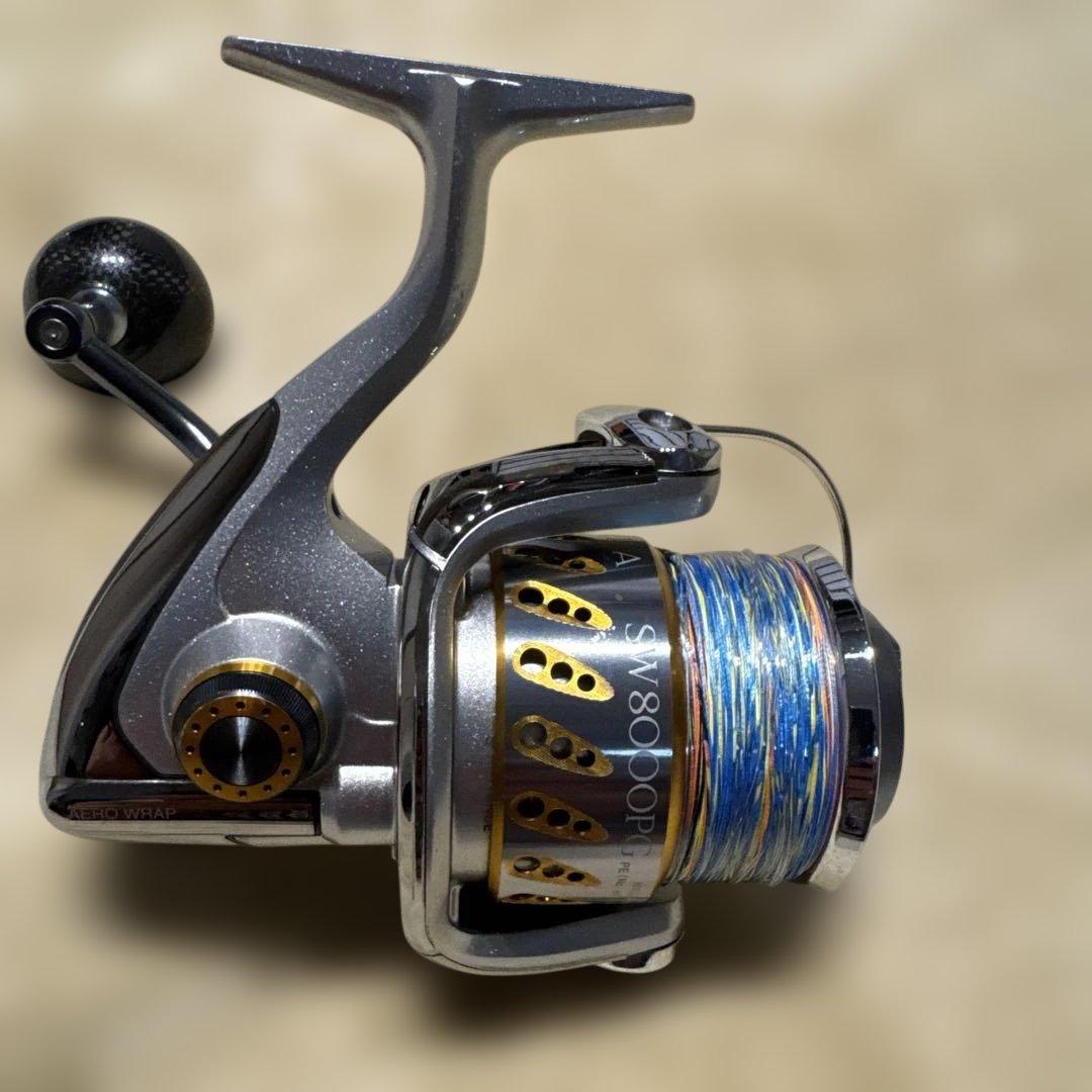 シマノ ステラ SW8000PG