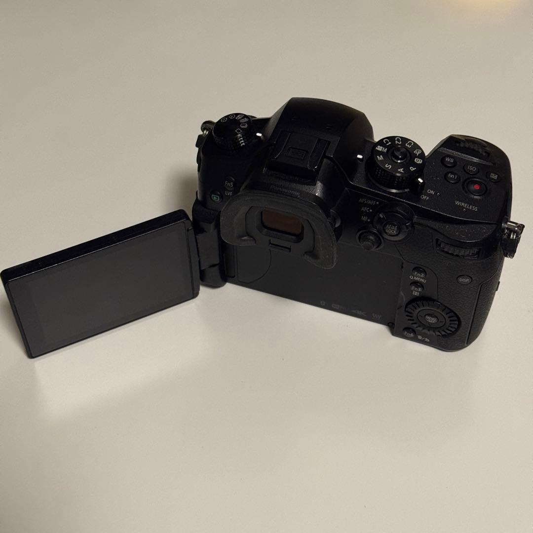 LUMIX GH5 ミラーレスカメラ 本体 DC-GH5