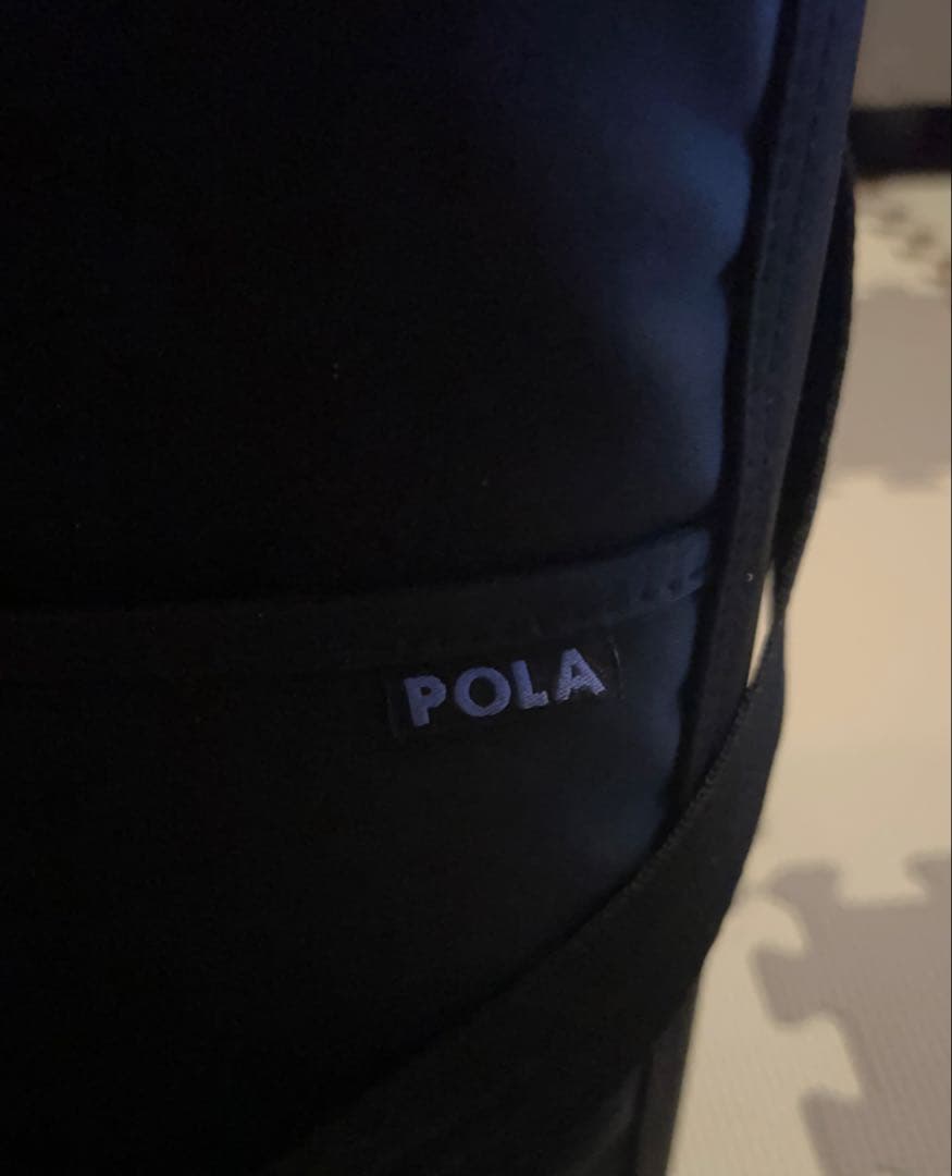 POLA 小型スチーマー