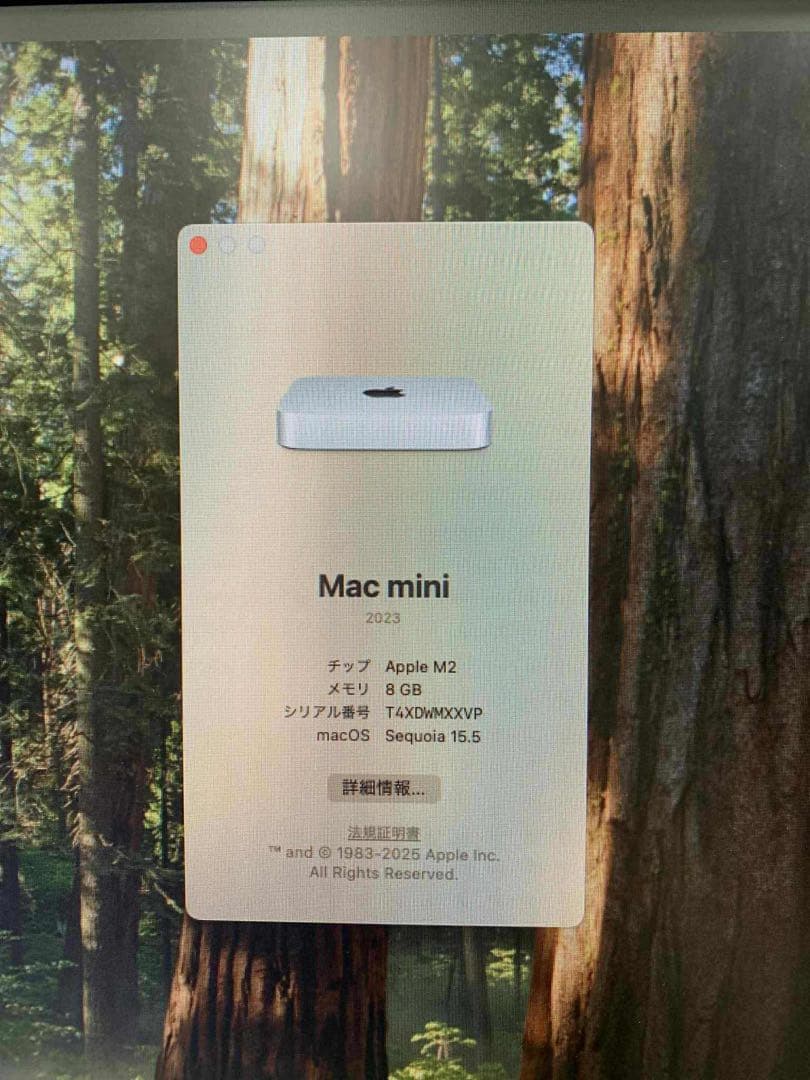 #818 Mac ミニ 2023 Apple M2 8GB SSD256GB