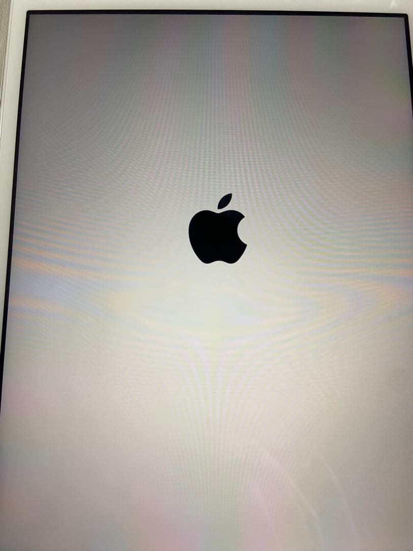 iPad本体 iPad mini 2 128GB