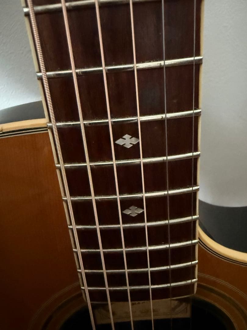 ★ Vester Maniac SAF-30 エレアコ ★