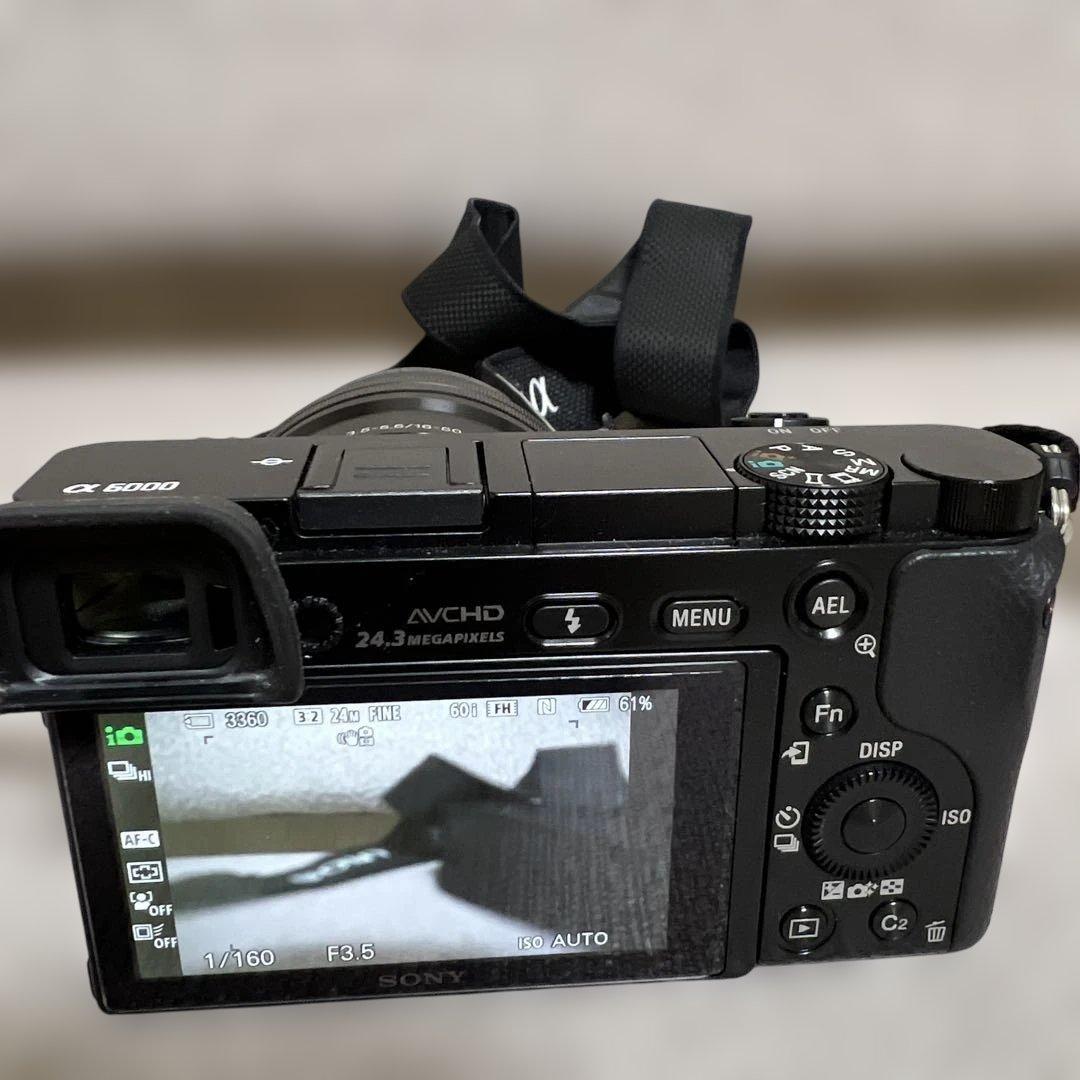 SONY α6000 ダブルズーム