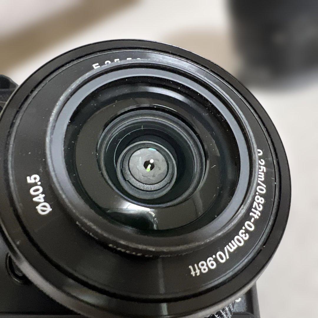 SONY α6000 ダブルズーム