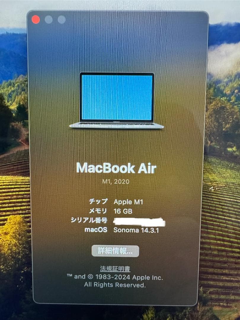 MacBook本体 Apple MacBook Air M1 2020 16GB