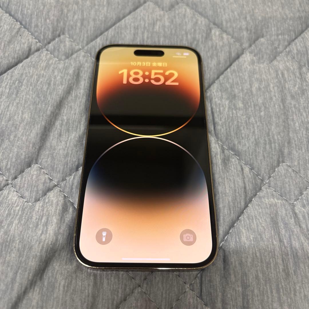 Apple iPhone 14 Pro シルバー 本体256GB