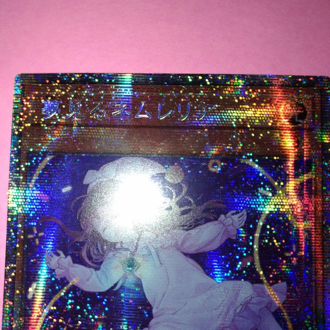 希少！アジア ネムレリア プリズマ