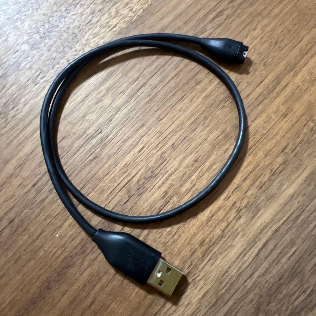 時計 GARMIN vivomovestyle