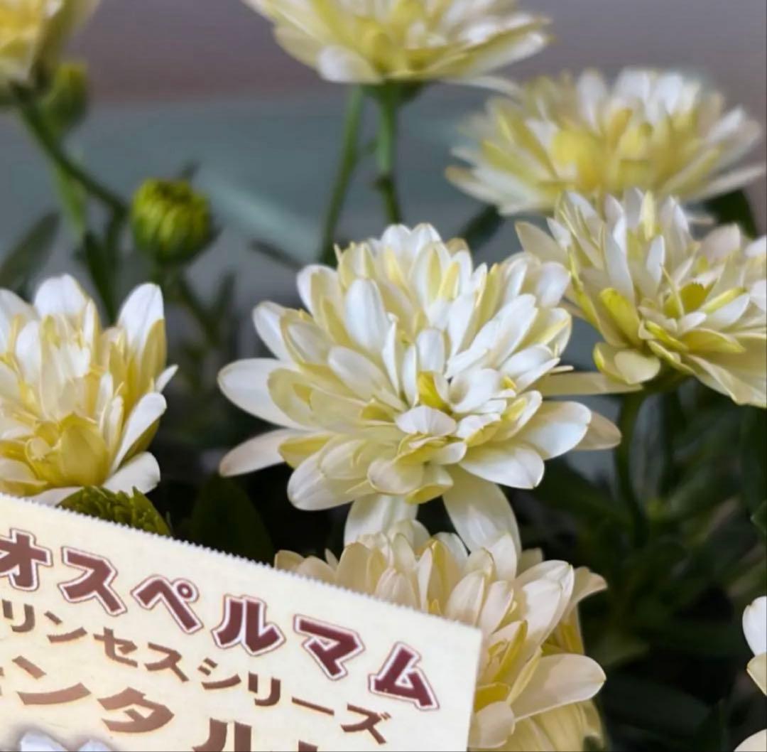 gomagoma2012様　リクエスト　おまとめ3点