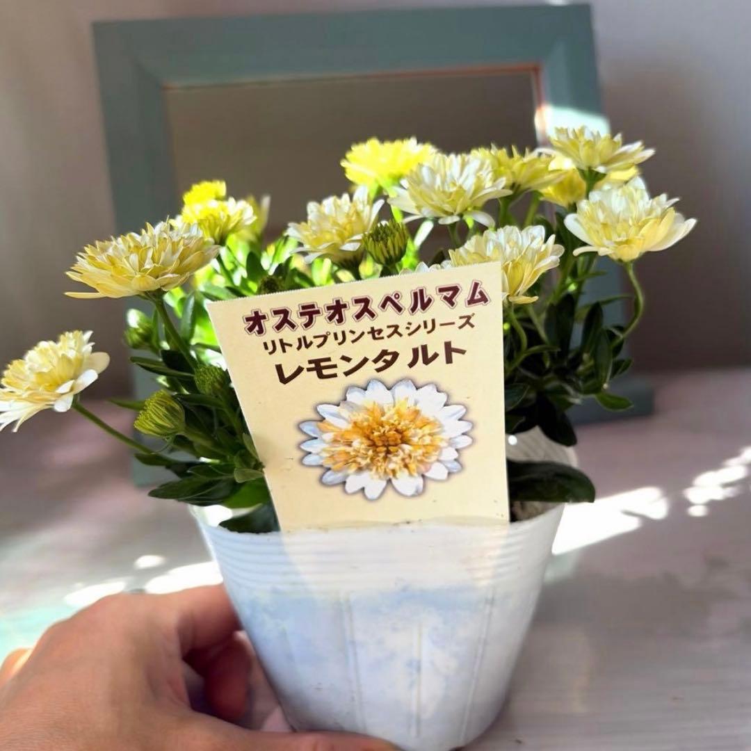 gomagoma2012様　リクエスト　おまとめ3点