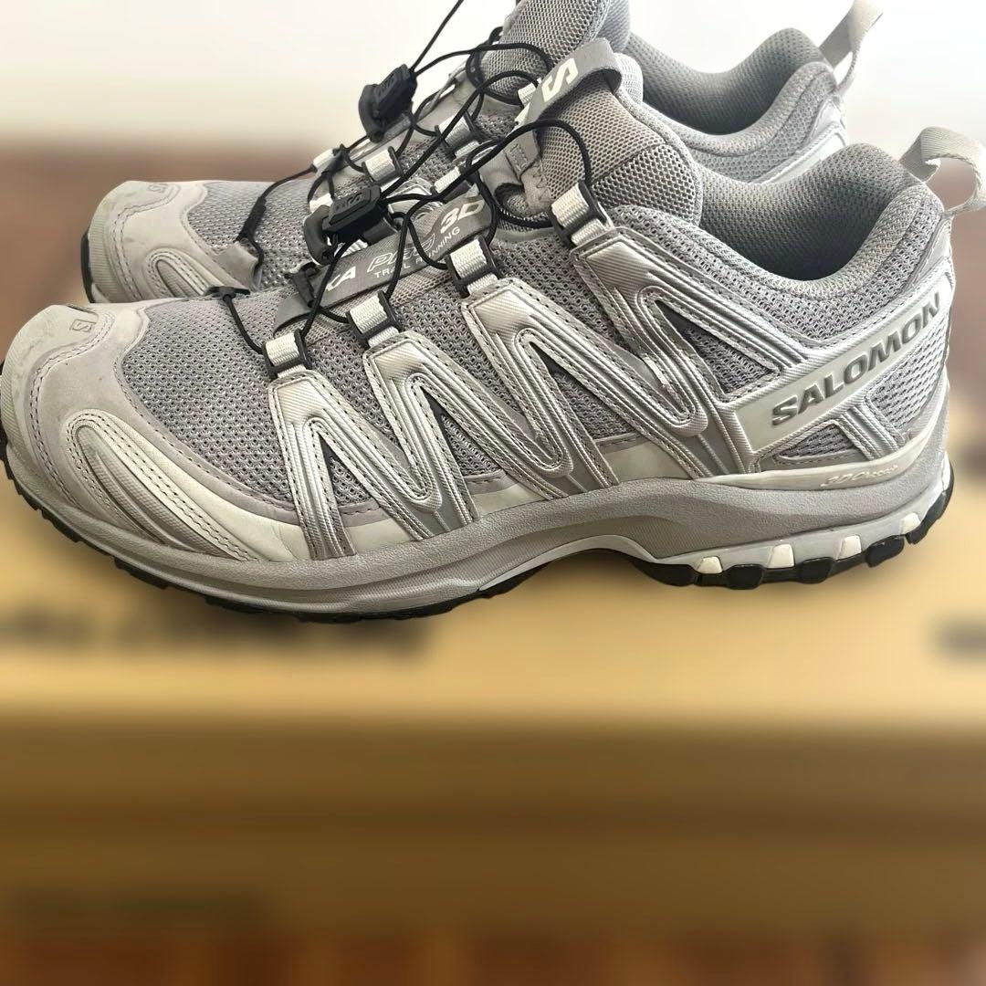 靴 SALOMON XA PRO 3D Alloy/Ftw Silver