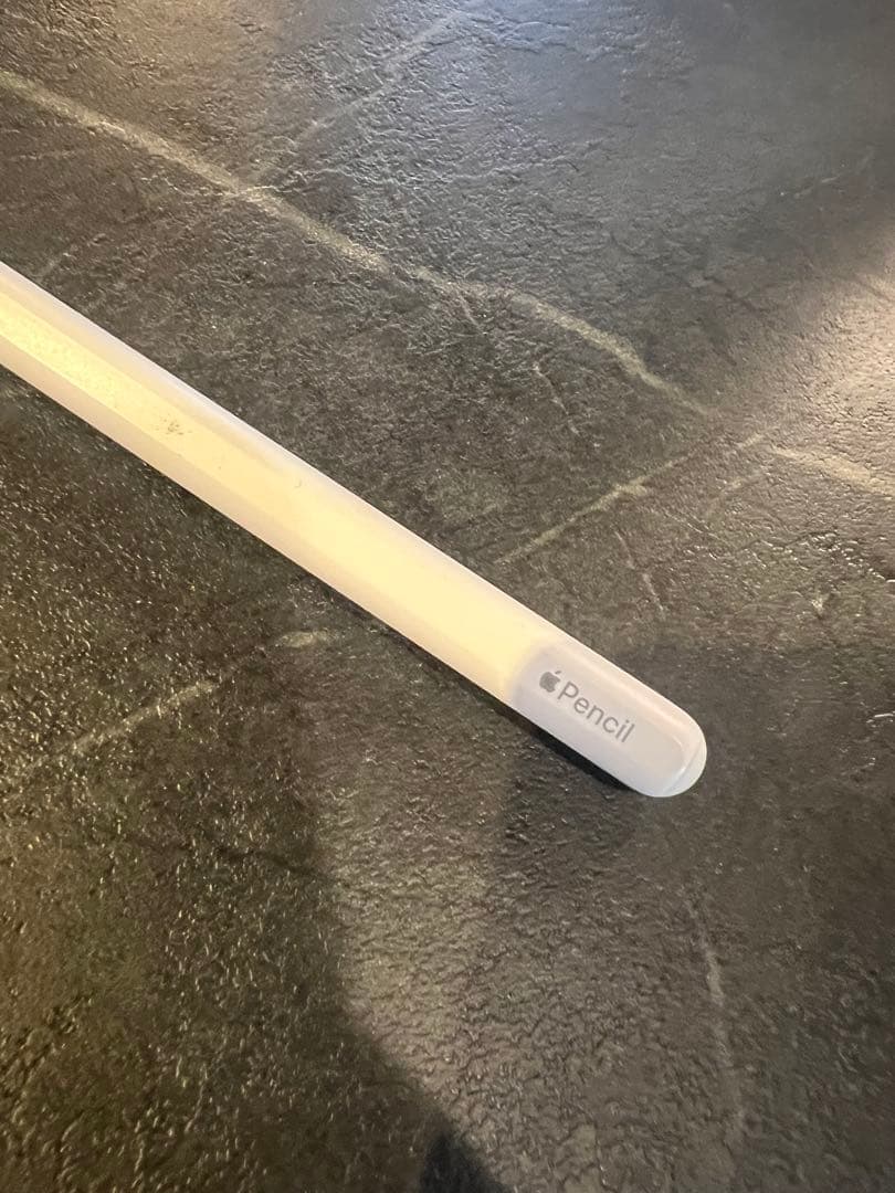 iPad Pro 12.9 第3世代Wi-Fi 256G アップル　ペンシル