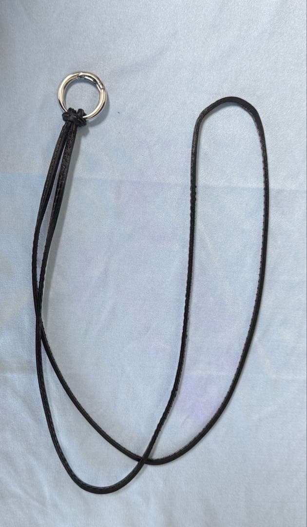 ラウンドカラビナキーリング　ワイルドスワンズ