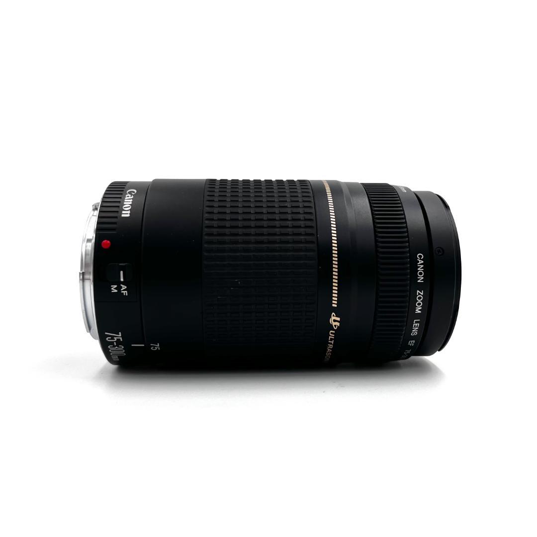望遠レンズ Canon EF 75-300mm F4-5.6 USM #355