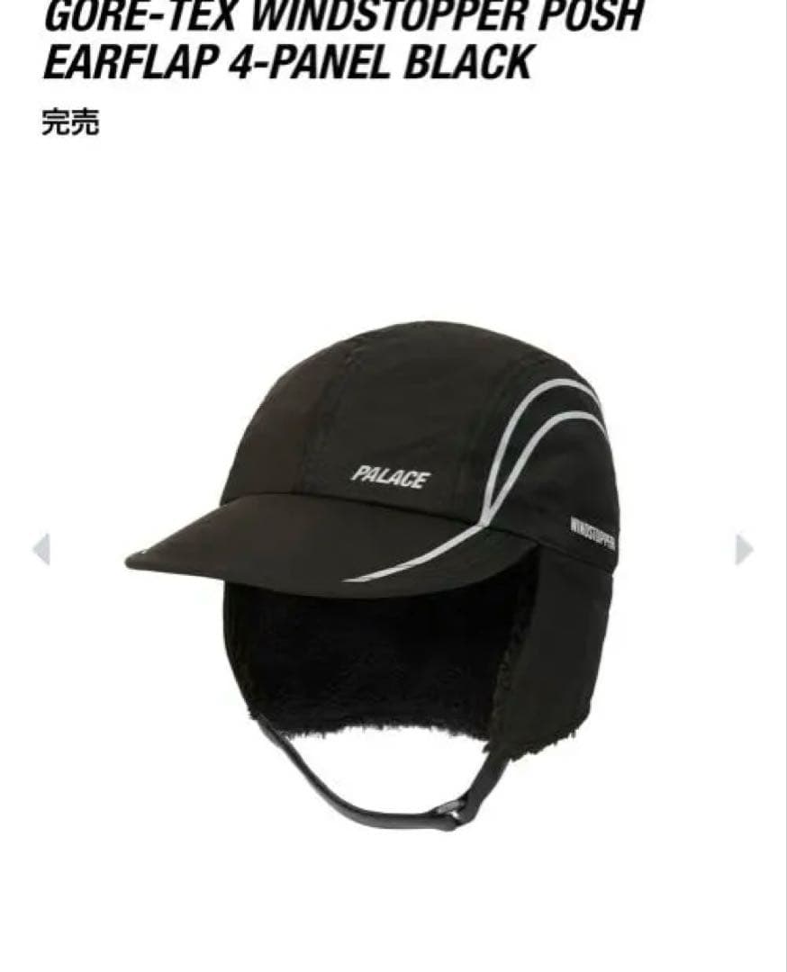 キ*ク様 『最終値下げ』PALACE GORE-TEX WINDSTOPPER