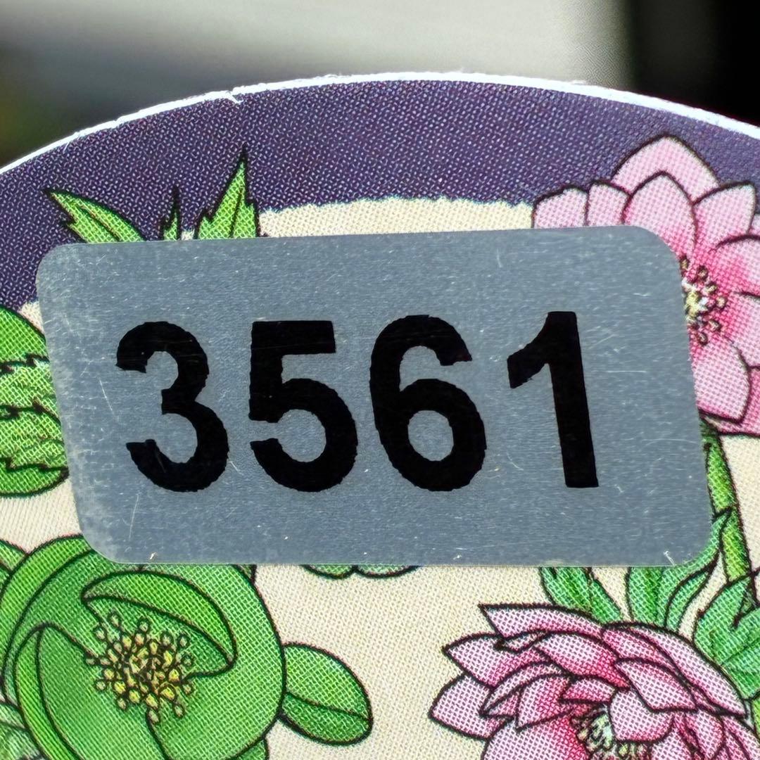 c*読様 3561☘️蕾花タグ付☘️希少品種☘️ロゼルミエール⭐️カラーチェンジ