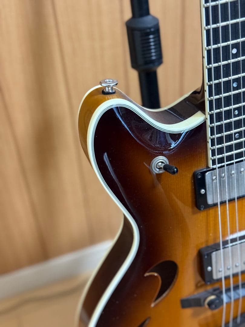 T’s guitars Arc Hollow Jazz