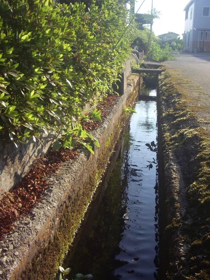 SDカード付/実写美⭕️美品【動作確認済】PENTAX OPTIO S60