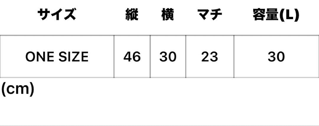 X-girl FACE BACKPACK エックスガール　通学　バックパック