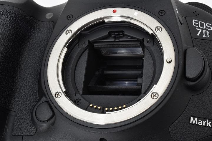 15688 Canon EOS 7D Mark II キヤノン 2136ショット