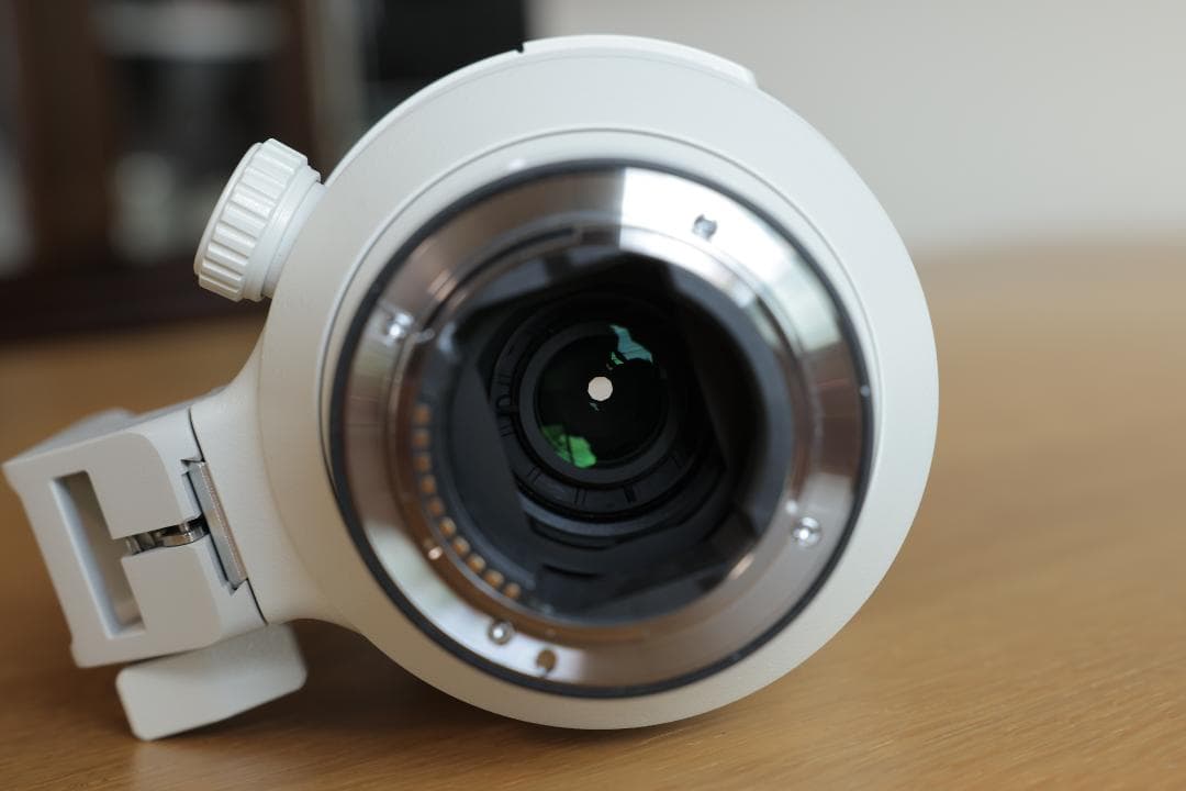 ソニー FE 100-400mm F4.5-5.6 GM OSS