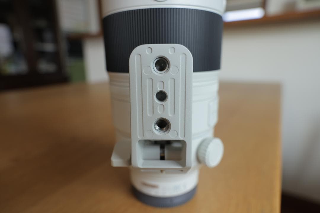 ソニー FE 100-400mm F4.5-5.6 GM OSS