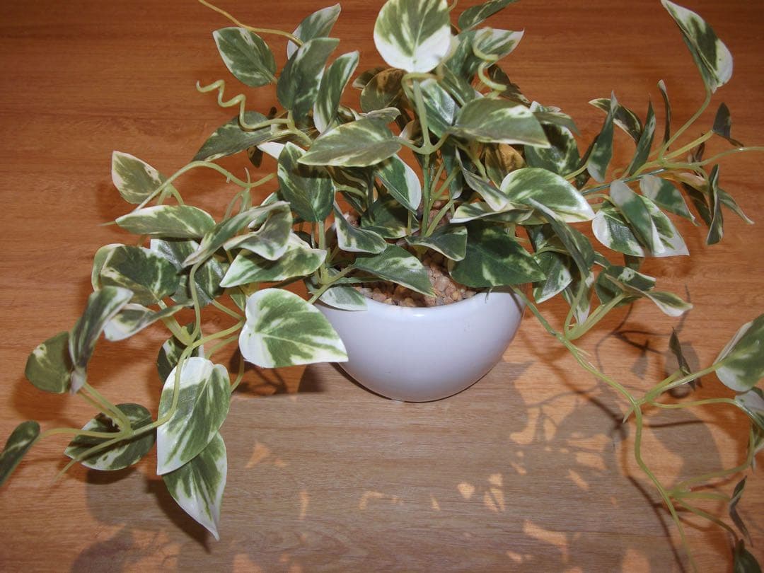 【✨平成レトロ✨】 FUJIFILM FINEPIX AV150 コンデジ